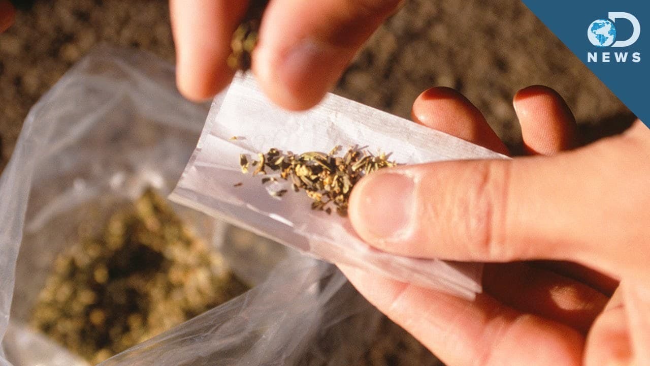 Synthetic Weed